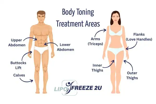 Graphic showing where you can have Body toning Treatment Wrexham on your body